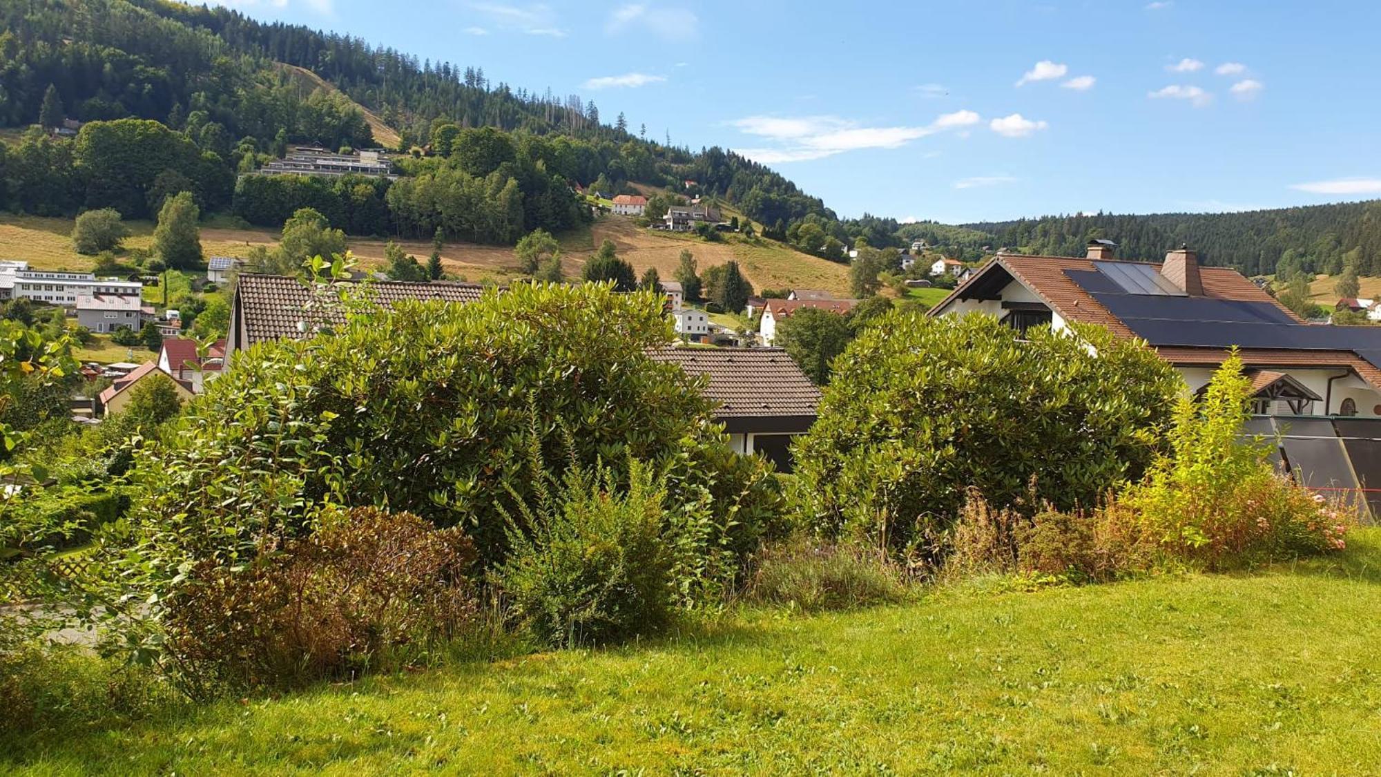 Green Hills Holiday House Warmensteinach Extérieur photo